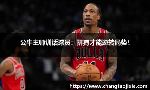 中欧体育