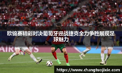 中欧体育官网