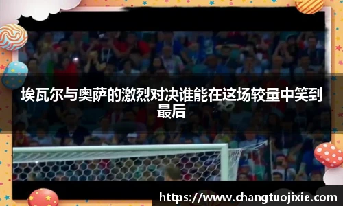 中欧体育