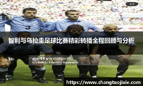中欧体育