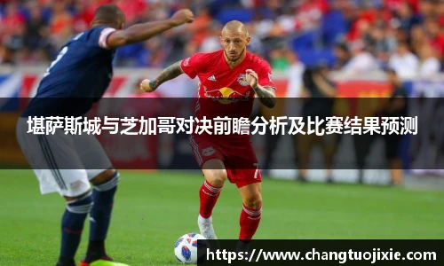 中欧体育网址