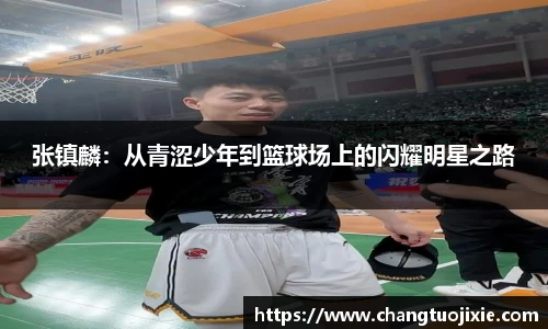 中欧体育