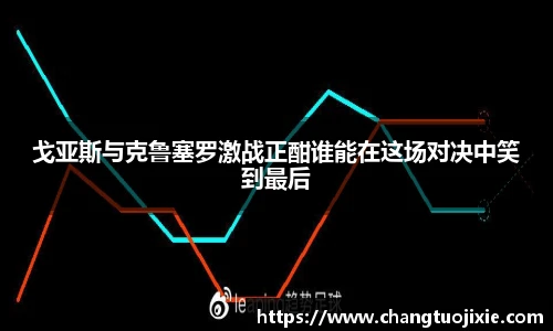 中欧体育网址