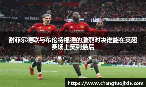 谢菲尔德联与布伦特福德的激烈对决谁能在英超赛场上笑到最后